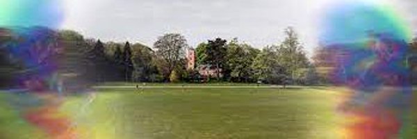 DrDanielMandel Profile Banner