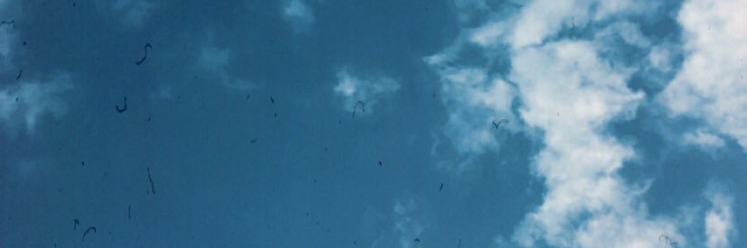 DiameFiloso's profile banner image