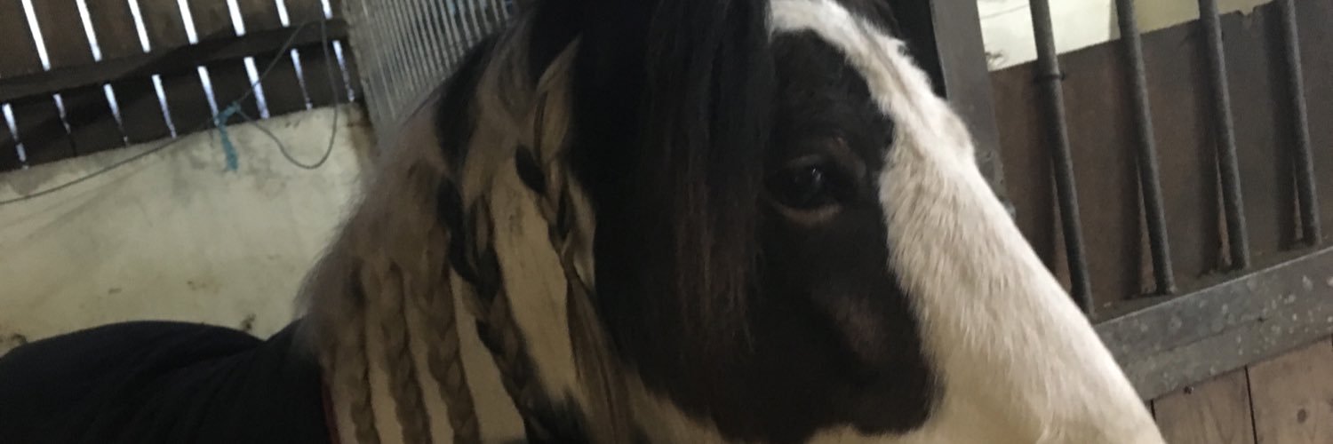 millymolly628's profile banner image