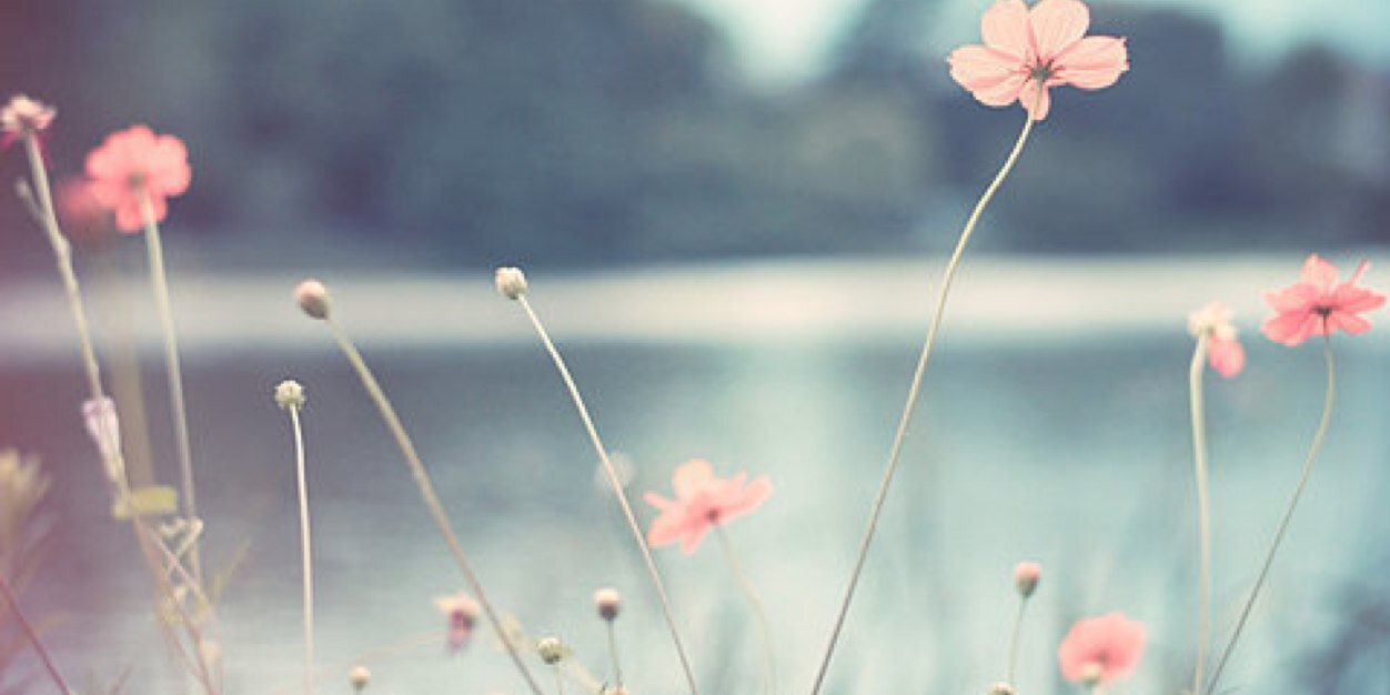 renad_161's profile banner image
