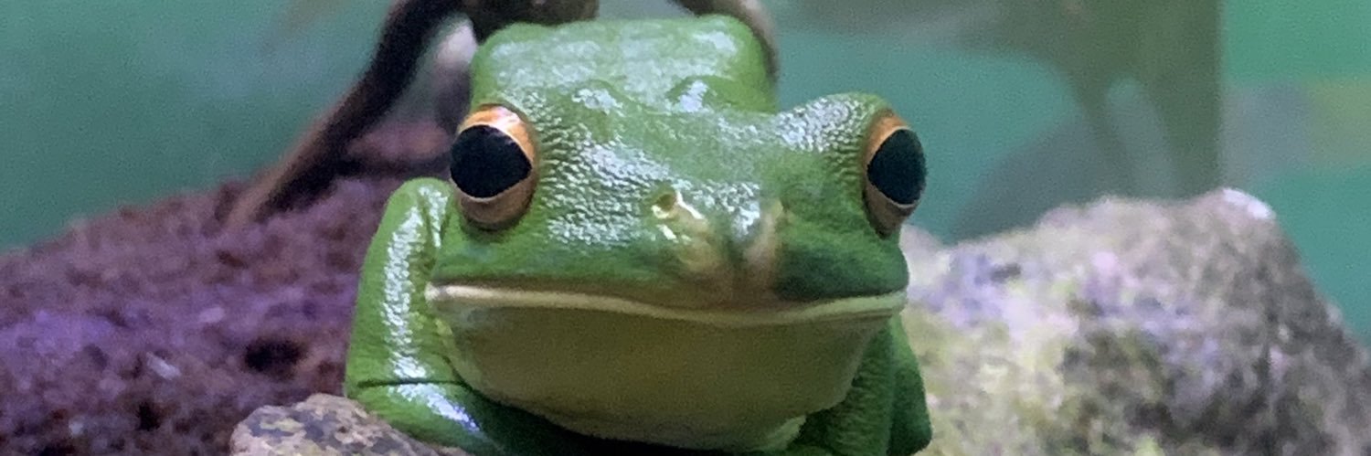 snt_tcy's profile banner image