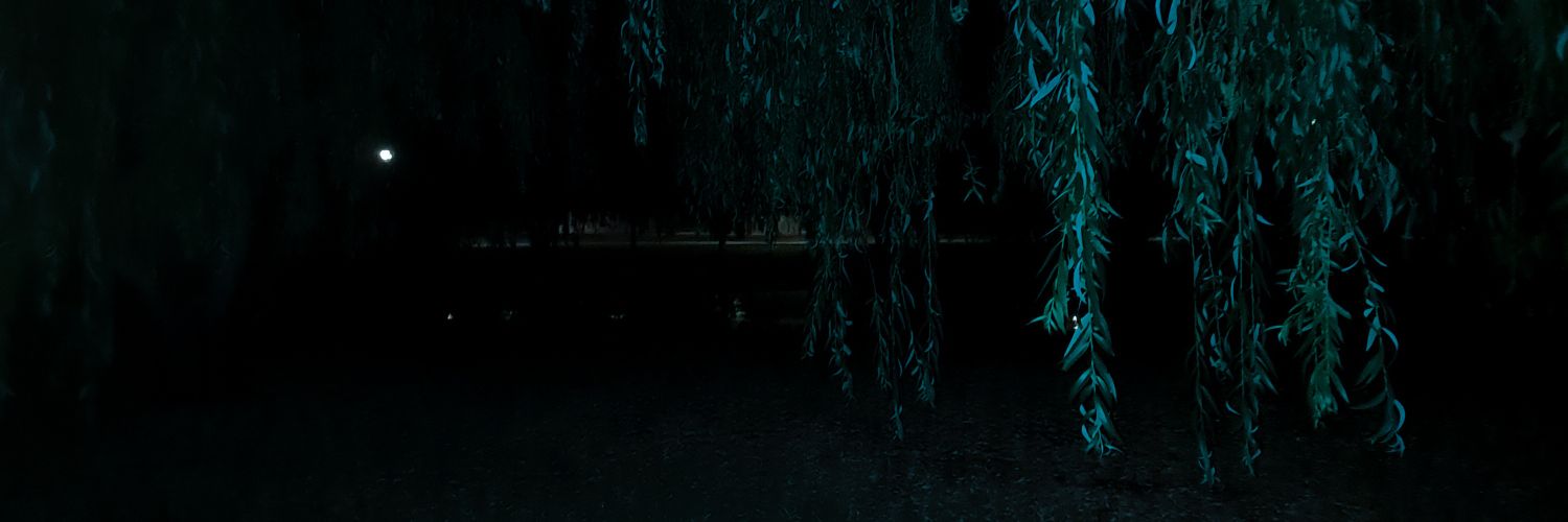 nerea banner