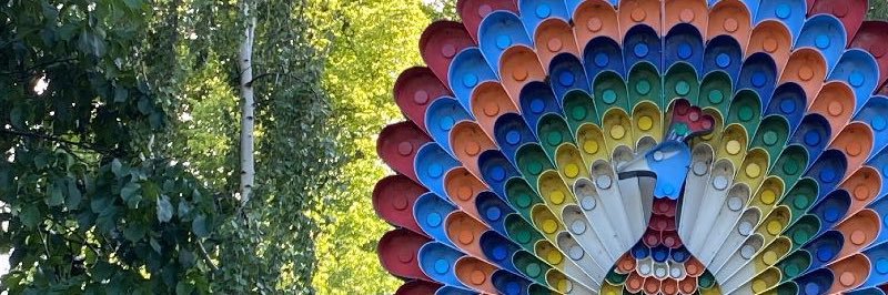 Robin Persson banner