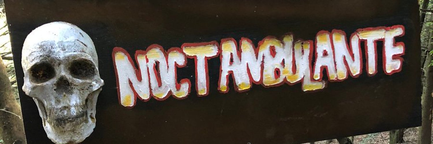 Cinema Noctambulante Profile Banner