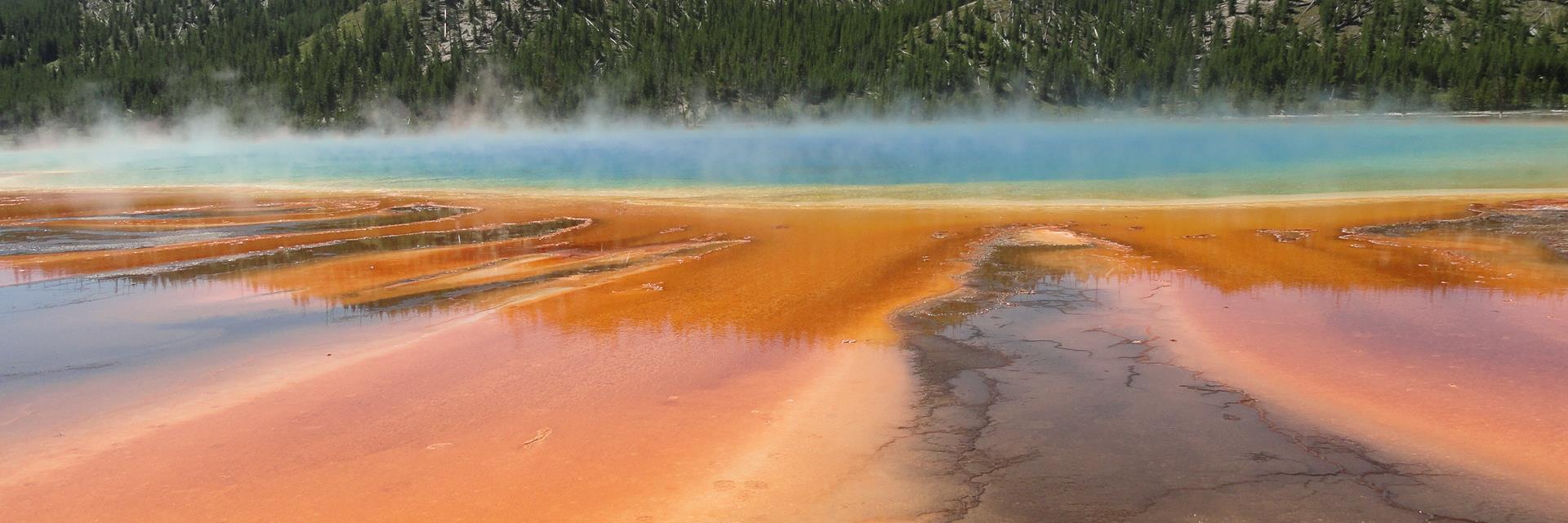 Michael Femi Sodipo, Ph.D banner