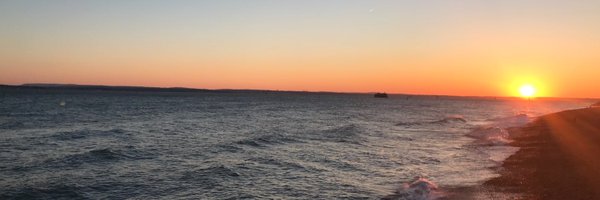 shjpoole Profile Banner