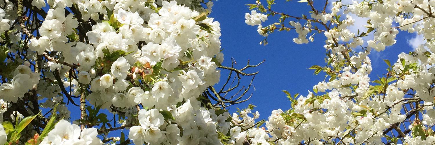 PrettyDressGirl's profile banner image