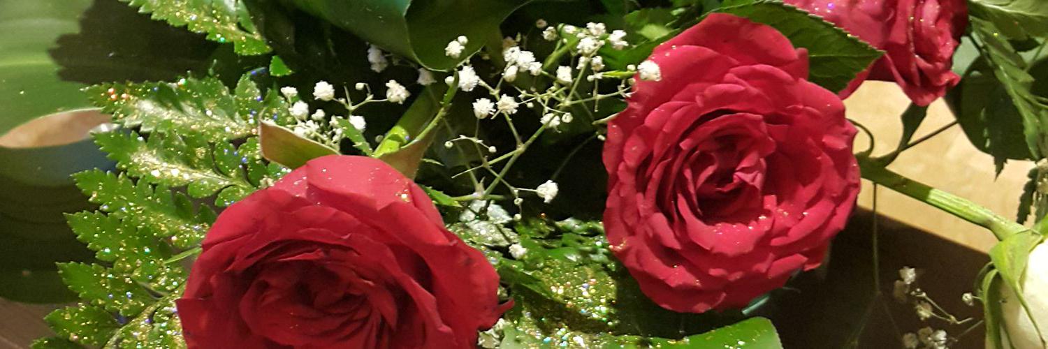 shiban2002's profile banner image
