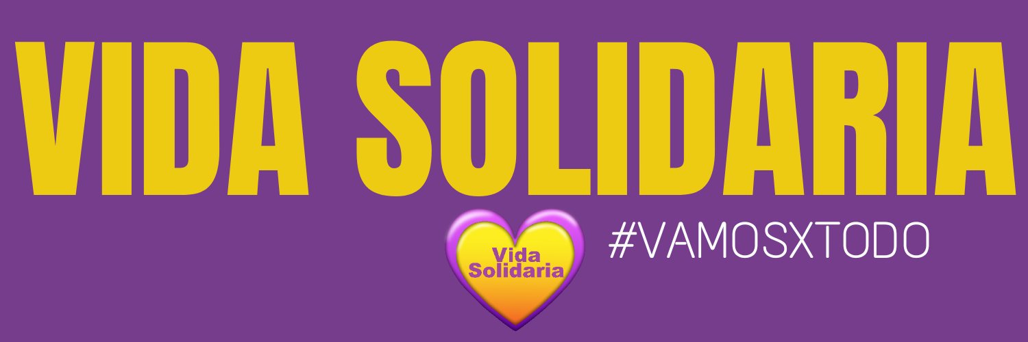 Vida Solidaria banner