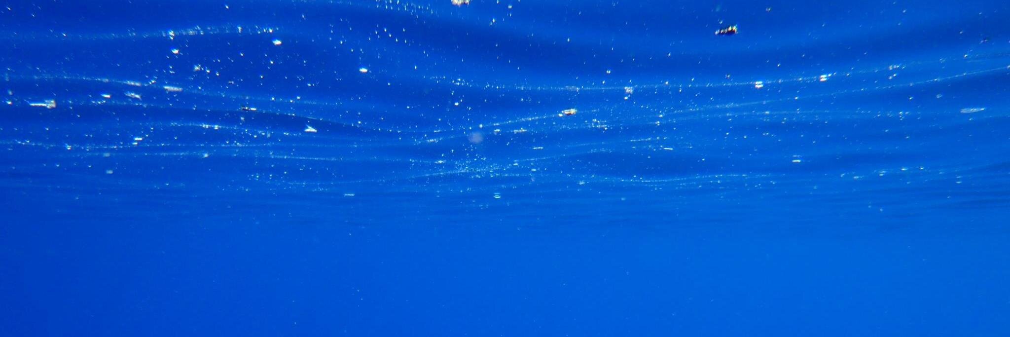 BirbiC's profile banner image