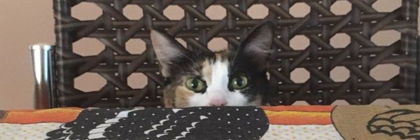 mateustrp Profile Banner