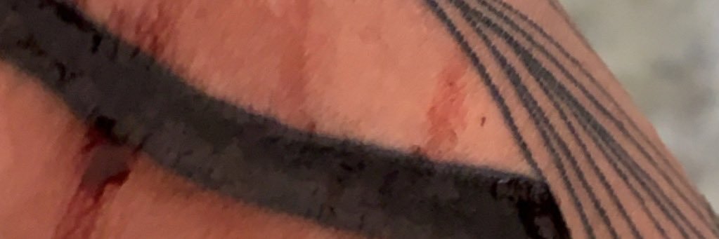 Minervawolf77's profile banner image