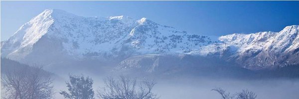 dirazola Profile Banner