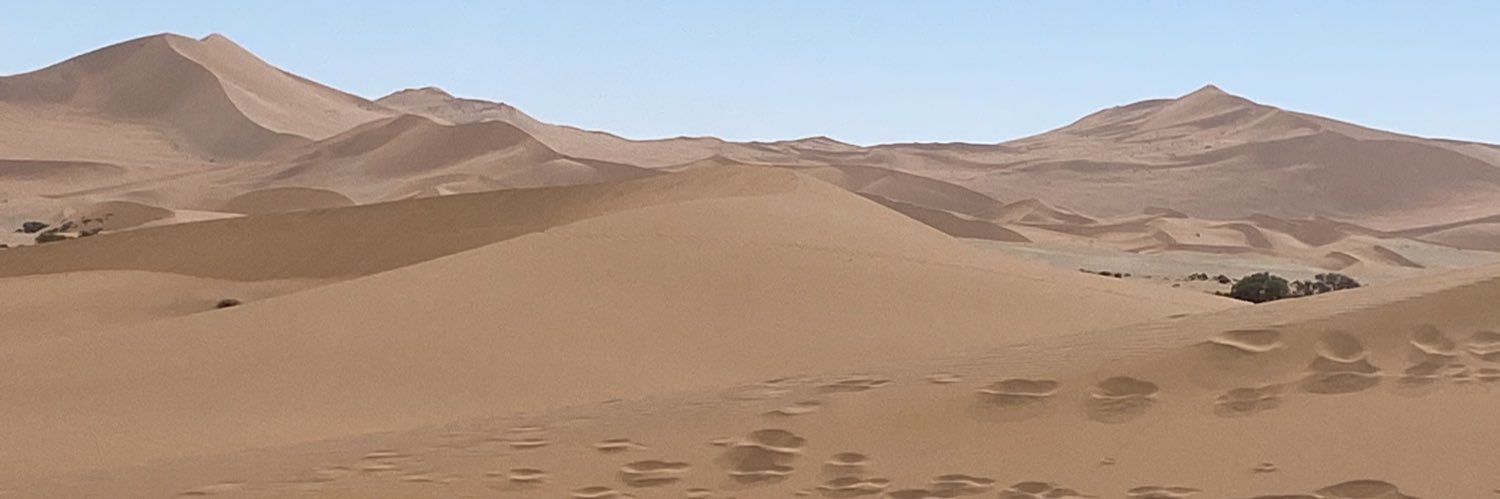 Edwin van de Haar banner