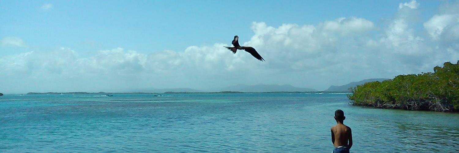 carlcoler's profile banner image