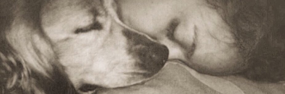 AndreatelloF's profile banner image