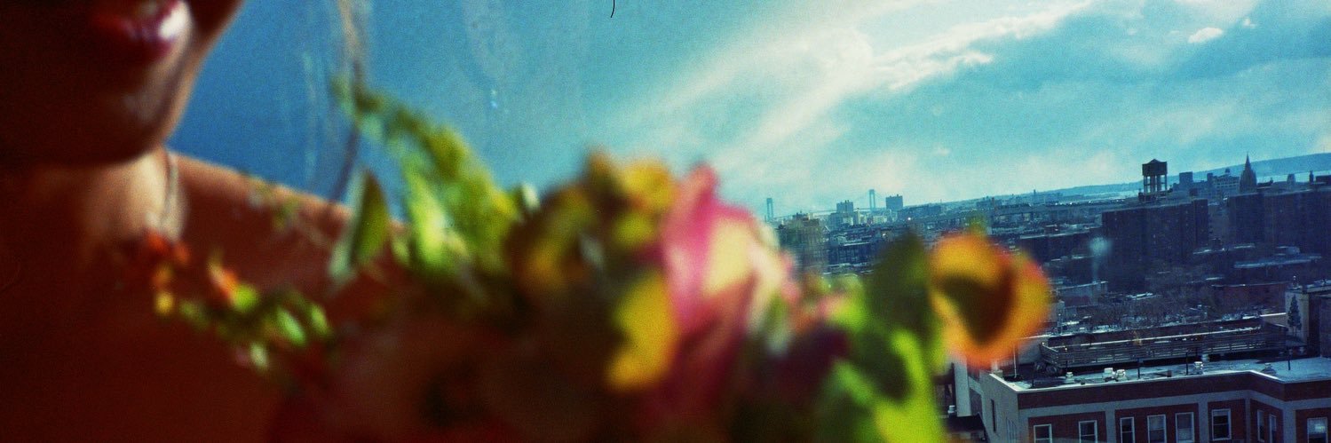 vanneedakg's profile banner image
