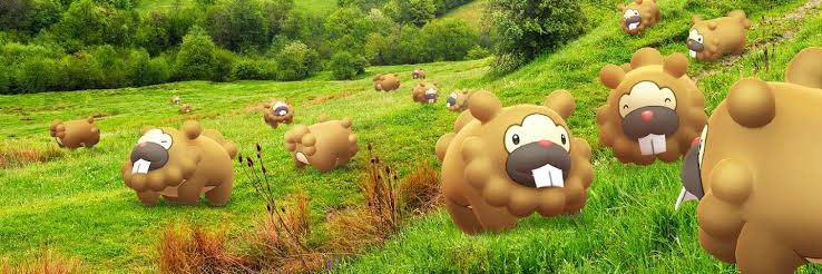 岡山のビーバー banner