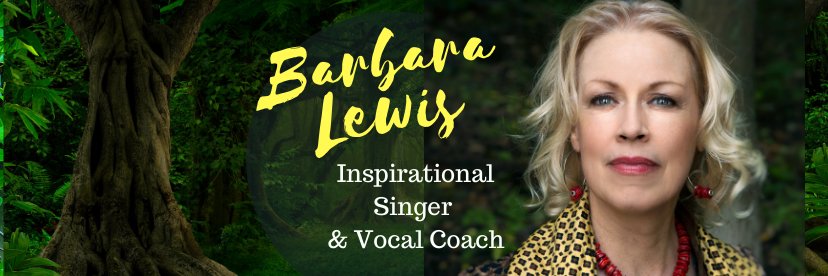 Barbara Lewis banner