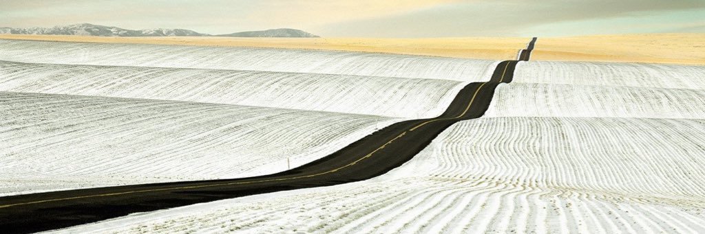 ML4949's profile banner image