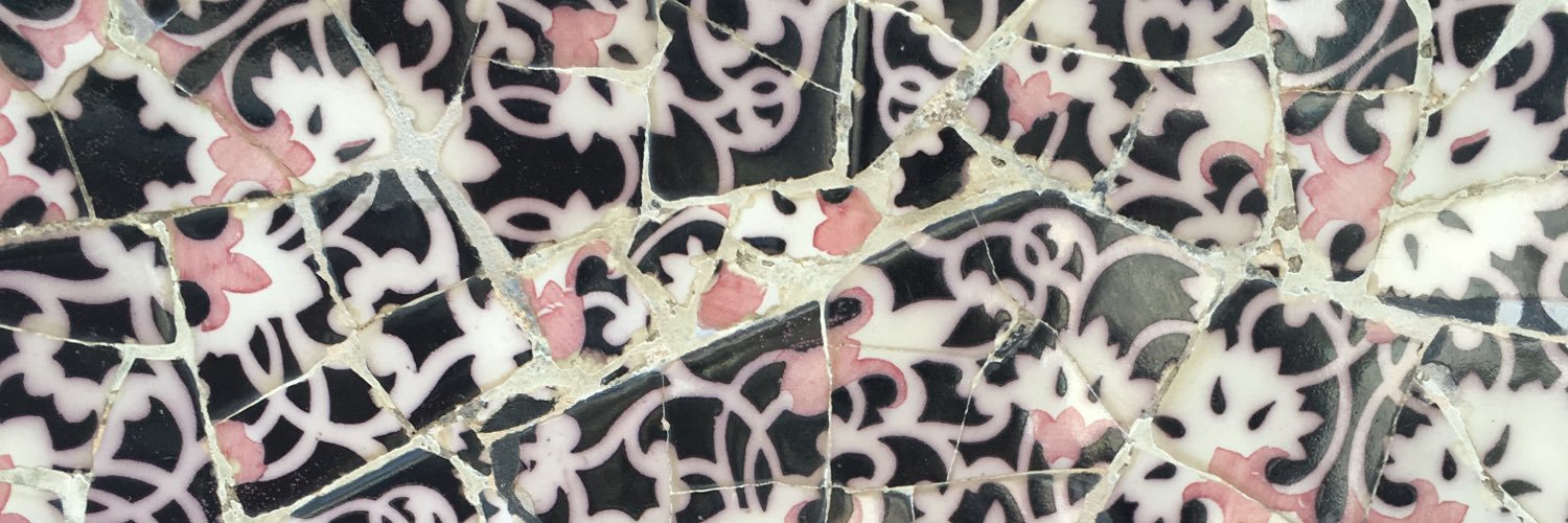 Lara Hochfeld banner