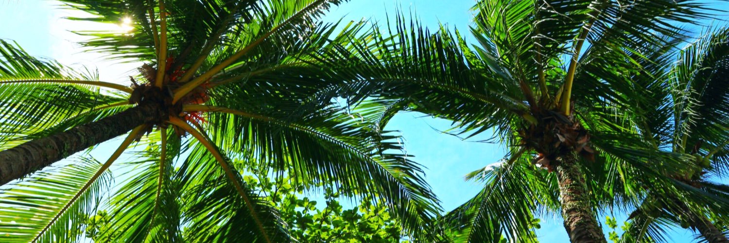 jazelxlim's profile banner image