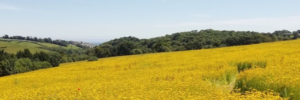 ColinHoare3's profile banner image