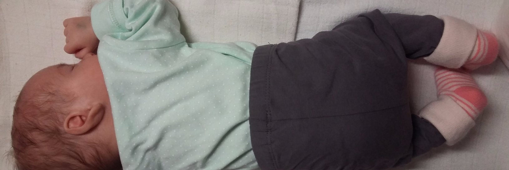 ZMItaD's profile banner image