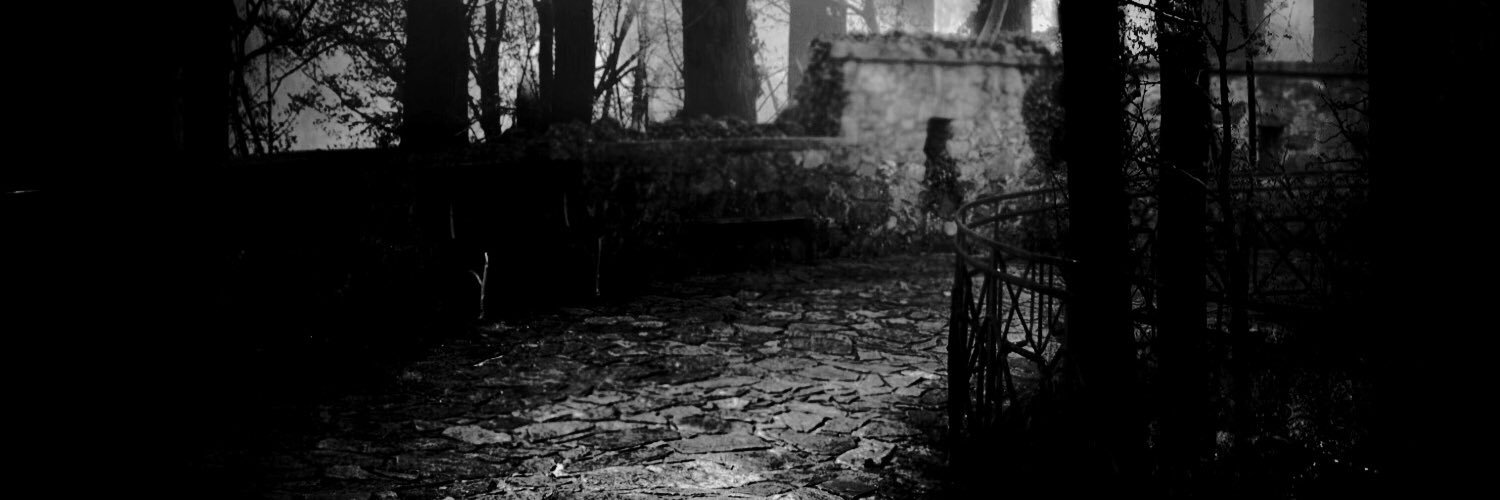 Bereneces's profile banner image