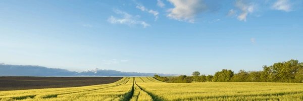 GabGrowth Profile Banner