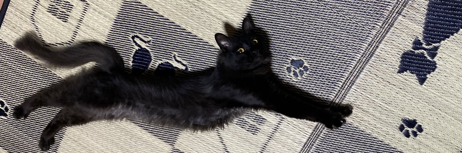 玲(ꕤ ॑꒳ ॑*)🐈‍⬛中の人応援隊長🐾 banner