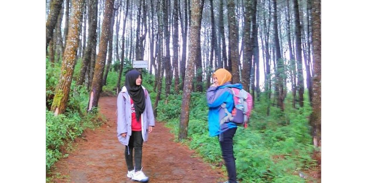 ayi_dhe's profile banner image