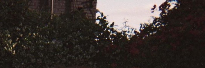 b 🇵🇸 banner