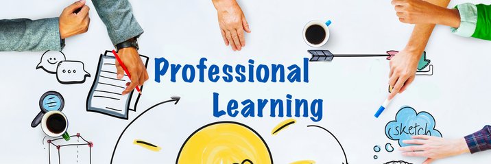Professional Learning RISD banner