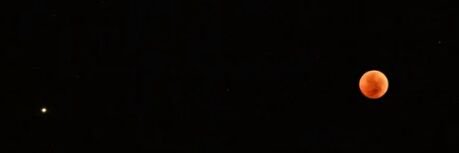 Shosho_Gala2's profile banner image