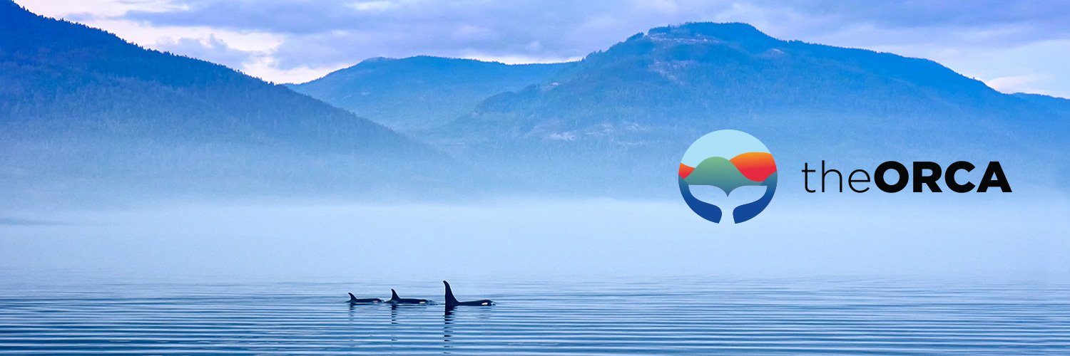 The Orca Profile Banner