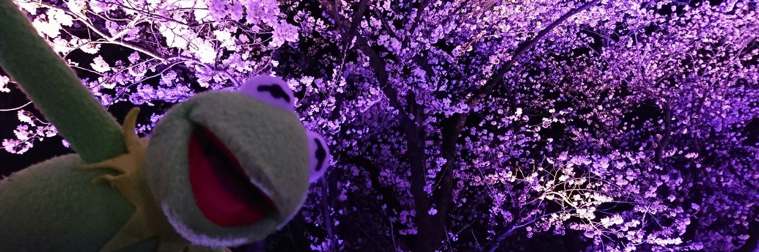 y8_721's profile banner image