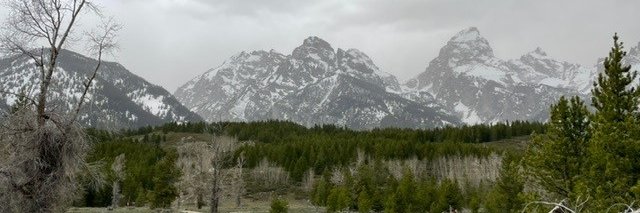 Elizabeth Johnson, PhD, MS-CRM, RN banner
