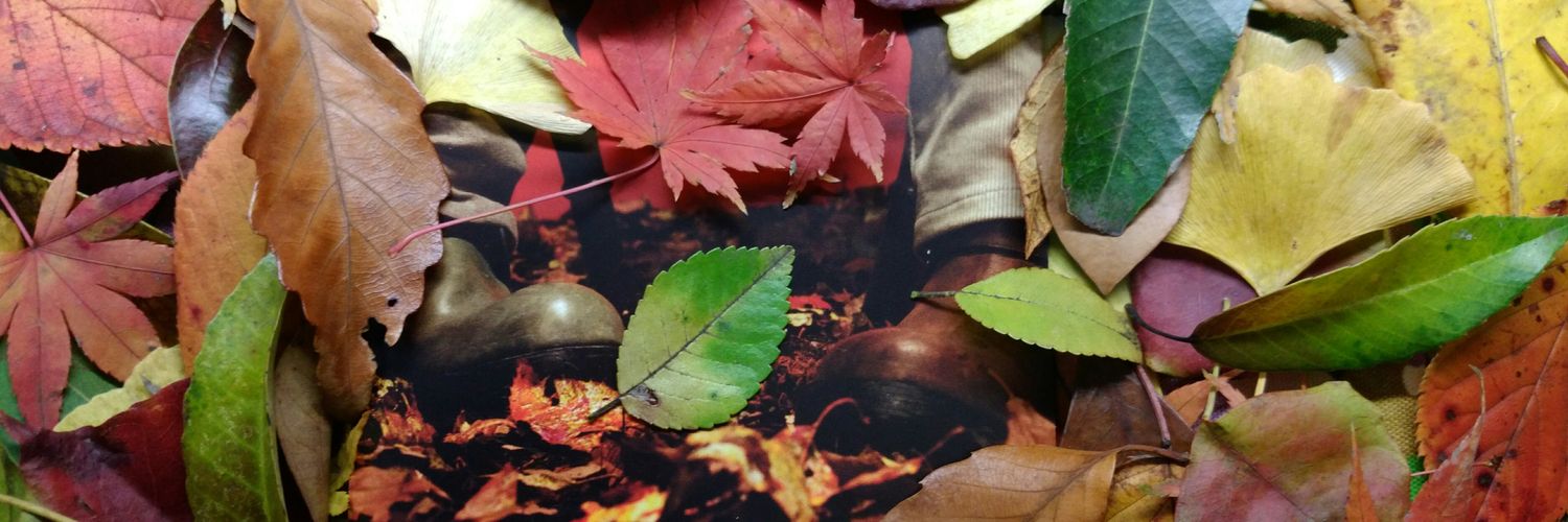 yyacchin's profile banner image