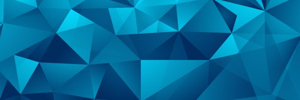 PhishFort Profile Banner
