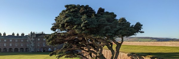 cjd_craig Profile Banner