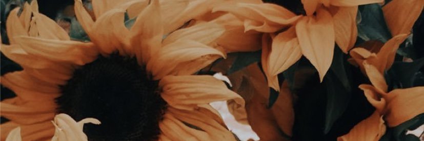 needugirll's profile banner image