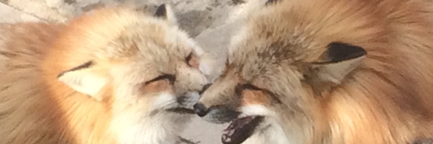 jsaito0719's profile banner image