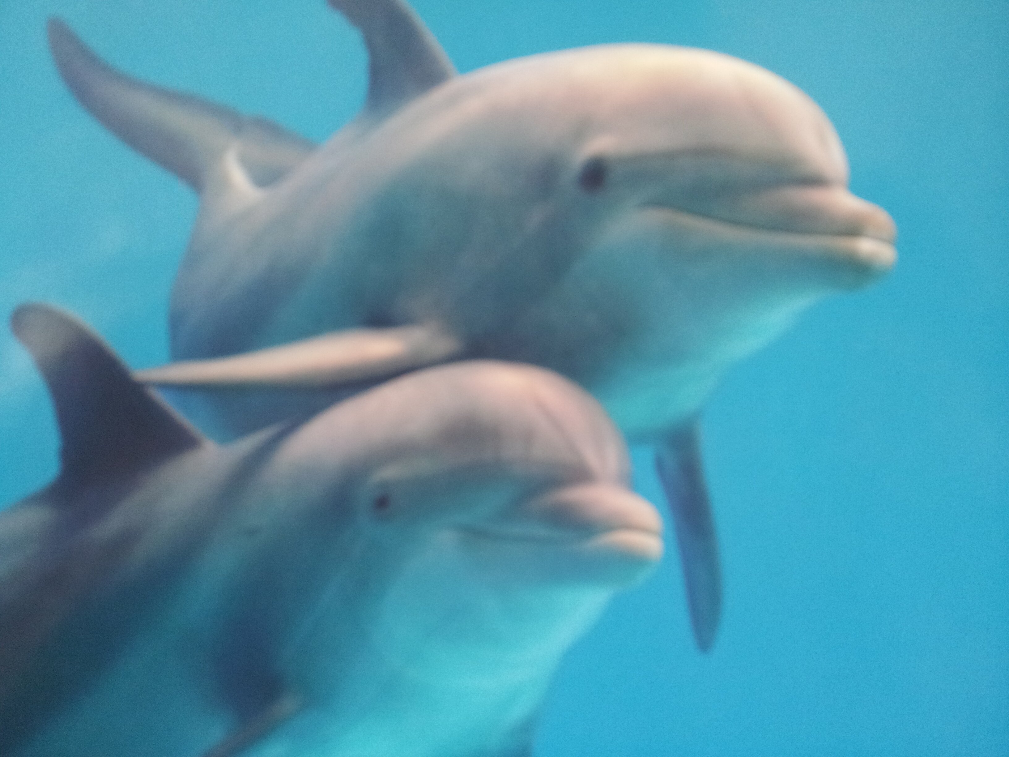 Catriona Robb banner