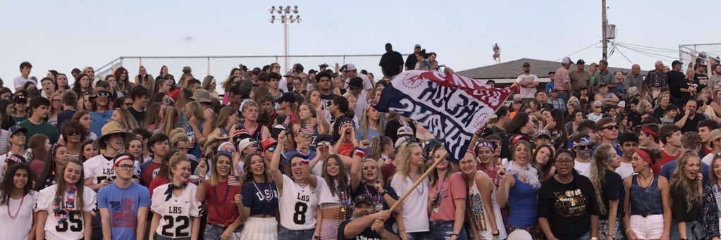 LhsSwarm's profile banner image