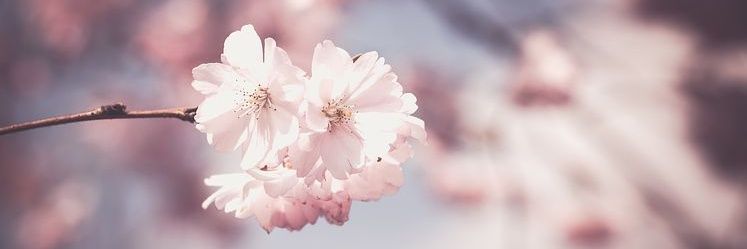 단기커뮤홍보봇 banner