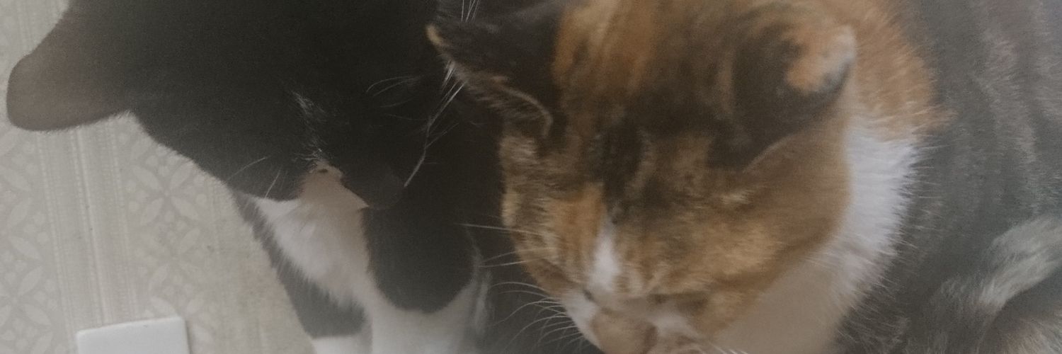 主水 banner