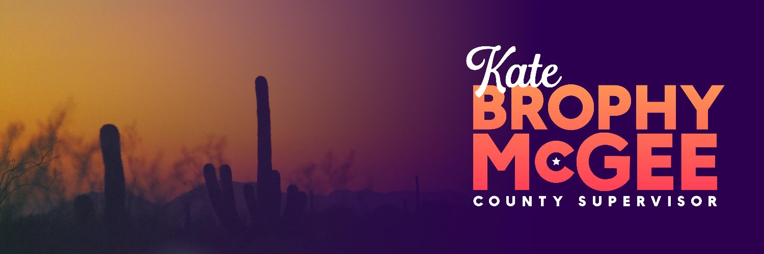 Chair Kate Brophy McGee banner