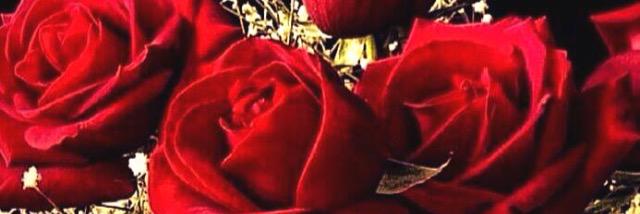 a_tarfah's profile banner image