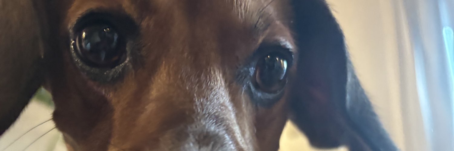 𝙻𝚊𝚃𝚊𝚗𝚊 banner